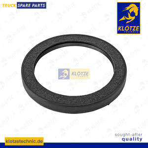 Oil seal
